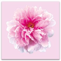 모란꽃 33종 돈들어오는 그림 한국화 캔버스액자 인테리어액자 거실액자 침실액자, 모란꽃07