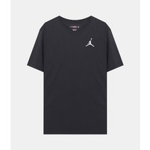 나이키 남성 조던 점프맨 23 에어 숏슬리브 DC4828-010 M J BRAND JUMPMAN AIR SS