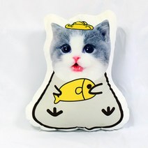 주문제작 사진 쿠션 강아지 고양이 아기사진 프린팅 쿠션 굿즈 캐릭터 인형, 30cm 양면(특소), 스타일 C