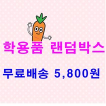 학용품 랜덤박스 샤프 볼펜 문구세트 초등학생 크리스마스 단체 선물, 필기구 세트 1개