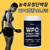 유청 단백질 류신 분말 500g 여성 여자 남성 남자 루신 leucine BCAA wpc wpi 저분자 고단백 가루 파우더 쉐이크 보충제 헬스 운동후 근육 다이어트 protein
