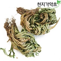 (롯데택배발송) 천지가약초 국내자연산 부처손 600g 바위손