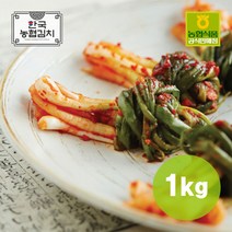 농협식품 국내산 100% 한국농협김치 파김치 1kg, 1개