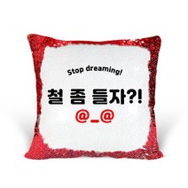 [리라상점] 놀림선물 맞춤 문구 스팽글 쿠션 / 기념일 이벤트선물 솜포함 / 바로 선물 가능한 스팽글쿠션, 2.철좀들자