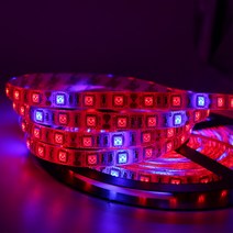 조립식온실 베란다비닐하우스 농자재 전체 스펙트럼 LED 성장 조명 5V USB 빨간색 + 파란색 식물 채, 01 50CM
