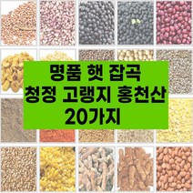 국산 햇 잡곡 20종 고랭지 강원도 홍천산 잡곡 참깨 수수쌀 호랑이줄단콩 약콩 서리태 적두 들깨 능근옥수수 밤쌀 백태 볶음땅콩 깐녹두 둥굴래 자연산, 햇잡곡:12.볶음참깨500g
