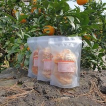 유진팡 수제 건조과일칩 감귤칩 50g