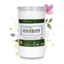 자일리톨 핀란드 가루 천연 설탕 분말 스피아민트 틀