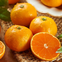 [농장직송] 제주 고당도 밀감 하우스 감귤, 1개, 하우스감귤 3kg