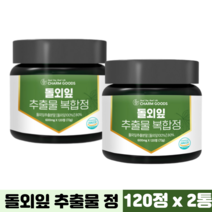돌외잎 추출물 100% 발효율피 L아르지닌 식약처 해썹 인증 사포닌 엑티포닌 돌외잎정, 120정, 2통
