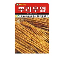 SN월드 뿌리채소 씨앗 무 당근 양파 알타리무 비트 콜라비 과일무, 뿌리우엉