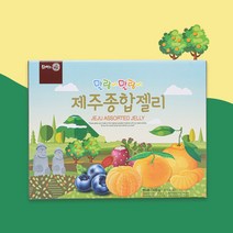 제주 과일 종합 젤리 500g 한라봉 감귤 백년초 블루베리