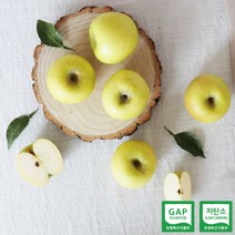 [이슬마루] 황금사과 시나노골드 2kg(10~11과), 단품