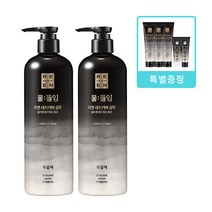 리엔 물들임 흑갈색 샴푸 450ml 2개+ 트리트먼트 150ml 3개+ 2종 증정 흑갈색/자연갈색 택1 새치커버 샴푸 트리트먼트 80ml 238897, 흑갈색 샴푸2개+트리트먼트3개+2종증정
