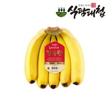 식탐대첩 식탐대첩 스미후루 감숙왕 바나나 2송이 약2.6kg내외, 단일옵션
