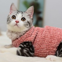 펫보스 고양이 스핑크스옷 겨울옷 부드러운 니트, 핑크