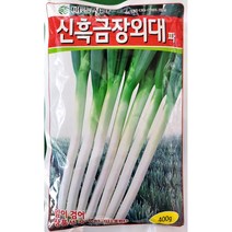 신흑금장외대파 400g/ 대파씨앗큰포장
