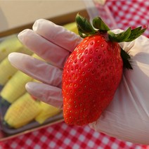딸기탕후루만드는법 추천상품 정리