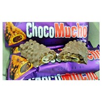 초코무쵸 27gx 10개입