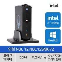 인텔 NUC 12 Enthusiast Kit NUC12SNKi72 인텔 12세대 i7-12700H 게이밍 미니PC, RAM 32GB+M.2 512GB