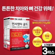 치아 영양제 인사 덴티 골드 60정 칼슘 프로폴리스 비타민C 옥수수수염 추출분말 리소짐 부모님 어르신 노인 치아 뼈 건강 알약케이스 포함, 3박스(6개월분)