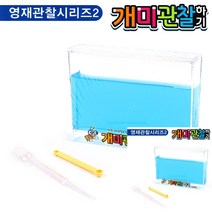 개미 관찰하기 대 블루 곤충집 개미관찰