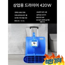 트 상업용 로비 미끄럼방지 카펫 드라, A 단일냉기 풍속17m/s