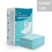 일회용 위생매트 10매 환자용 대형 방수 깔개 90X60cm