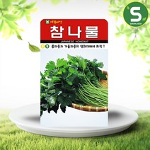 솔림텃밭몰 참나물씨앗 1000립 참나물 산채나물 재래종 아람씨앗