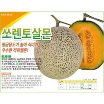 아시아종묘 멜론씨앗종자 쏘렌토살몬(10립)