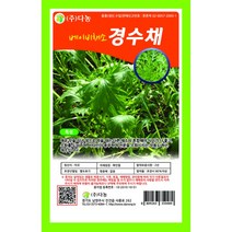 다농 베이비채소 경수채씨앗 30g