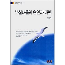 부실대출의 원인과 대책, 자유기업센터, 이종욱