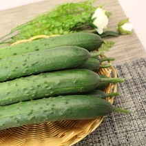 취청오이(상)1kg 1박스 자연대로팜웨이