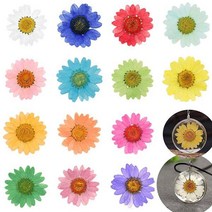 짤순이 세탁 12 Pcs 에폭시 수 지 던 트 목걸이 쥬얼리 공예 DIY 원룸 대용량, White