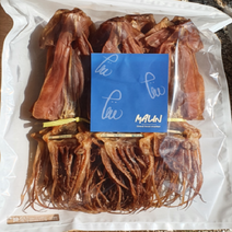 마른오징어 말린 완전건조 굽지않은 쫄쫄이오징어 500g/1kg/2kg, 1kg, 10마리