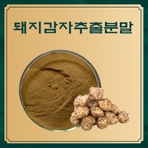 돼지감자추출분말 50g 샘플 향분말 농축 액 과일 과즙분말, 1, 본상품선택