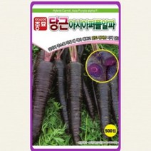 (자색당근종자) 아시아퍼플알파(500립)-안토시아닌 다량 함유