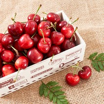 칠레 햇 체리 500g (26mm 사이즈), 2팩