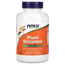 NOW Foods Plant Enzymes 나우푸드 플랜트 엔자임 효소 240캡슐