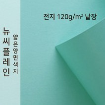 뉴씨플레인 종이문화 얇은 양면색지 120g 전지 낱장 1매 No.17 옥색, 1장
