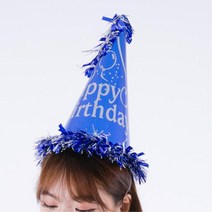 2P 생일 파티 주인공 대형 고깔모자 회사 벌스데이 브샤