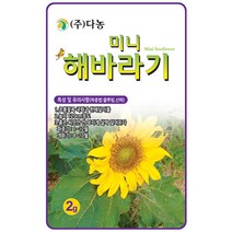 벌개미취 300립 - 야생화 씨앗 꽃씨 씨 꽃씨앗 벌개미취씨앗 벌개미취씨 다년생 여러해살이 야생화씨 야생화씨앗 꽃, 20_다농_미니 해바라기(2g)
