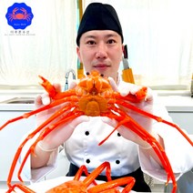 오늘의 속초 홍게 마가단 박달 대게 자숙 찜, [마가단]박달대게2kg(2미/2-3인분)