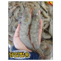 새우 특대 대하구이 새우 소금구이 캠핑 새우구이 세트 찜용 새우 구이용 새우 1kg, 왕새우 : 1kg 1개