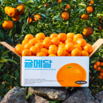 제주 하우스 감귤 12브릭스 고당도 선별, 로얄과(S-M) 5kg