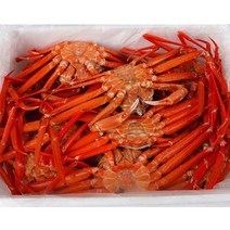 산지발송 당일작업 자숙 연지홍게 수율80%이내, 03_자숙 홍게 5kg (16~18미), 1개