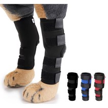 중대형견 슬개골 탈구 다리 관절보호대 M 2p 다리깁스 강아지슬개골보호대 시바견보호대, 블랙