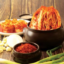 친정김치 숙성지 김치찌개 전골 볶음밥용 숙성김치 5kg 10kg