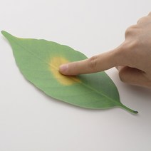 +d Leaf Thermometer 나뭇잎 온도계, S사이즈