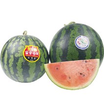 아이노스 프리미엄 고당도 당도선별 꿀수박, 6~7kg 내외, 1개